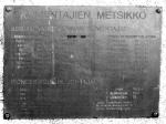 metsikko2 (kuva 8/34)